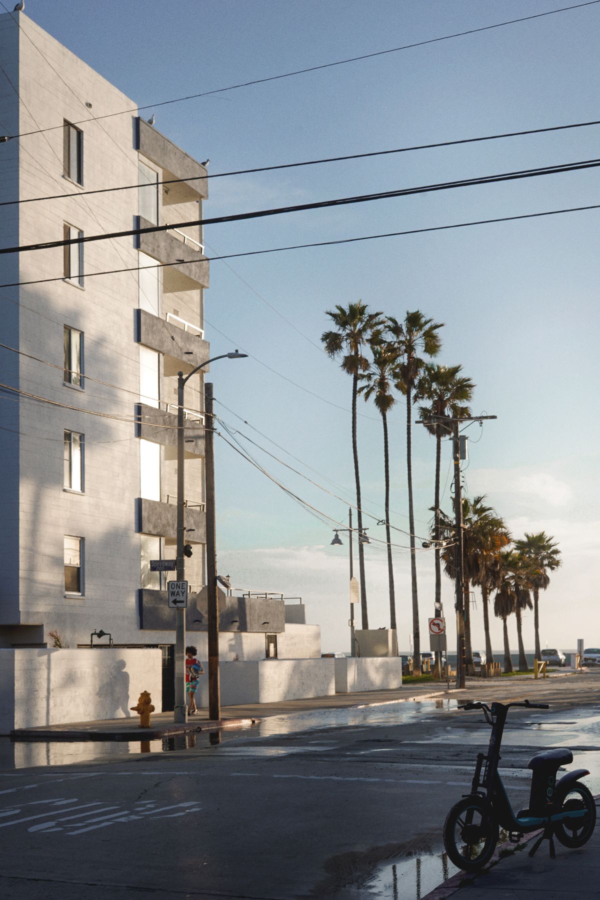 A tranquil Los Angeles street at sunset featuring tall palm trees and a modern building.